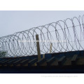Low Price Galvanized BTO-22 Concertina Razor Barbed Wire, Razor Barbed Wire, Razor Wire Fence (china factory)